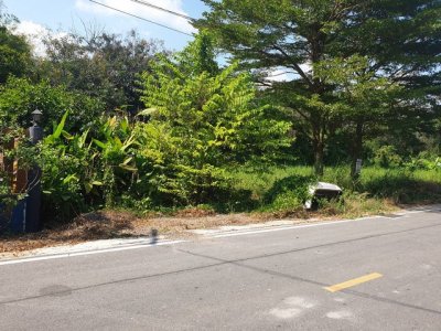 ทดคุณต้นคลอง8 ขาย ที่ดิน - ปทุมธานี    1000000 บาท - รูปที่ 2