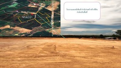 ให้เช่าที่ดินระยะยาว 336-3-74ไร่ เหมาะสำหรับสร้างโกดัง โรงงาน คลังสินค้า ชลบุรี - รูปที่ 8