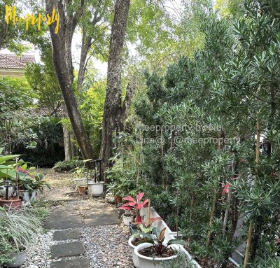 #ขายบ้านเดี่ยวหลังใหญ่ บรรยากาศรีสอร์ท  #สัมมากร รามคำแหง 112 (ซอย 48/4) พื้นที่กว้าง 120 ตร.วา พื้นที่ใช้สอย 245 ตร.ม. ME-246 - รูปที่ 7