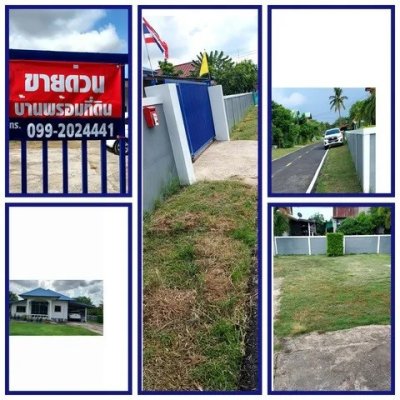 ขายบ้านพร้อมที่ดิน 203 ตารางวา โฉนดพร้อมโอน เทศบาลตำบลโพธิ์ชัย อำเภอศรีสมเด็จ จังหวัดร้อยเอ็ด - รูปที่ 6