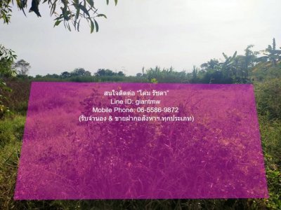 DSL-885 ขาย ที่ดิน เป็นที่ดินเปล่าจัดสรรแปลงเล็ก รูปสี่เหลี่ยมผืนผ้า ที่อยู่มุมสงบ ท่ามกลางธรรมชาติ มีเพื่อนบ้าน อยู่ในผังสีเขียว - รูปที่ 8