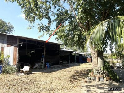 ขายบ้านเดี่ยว ชัยภูมิ ถนน สายหนองบัวใหญ่-หนองบัวระเหว ตำบล หนองบัวบาน อำเภอ จัตุรัส จังหวัด ชัยภูมิ - รูปที่ 6