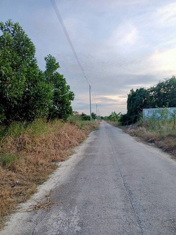 ขายที่ดินศาลายา 200 ตร.ว. ทำเลดี ใกล้มหิดล ราคาเพียง 2.4 ล้านบาท - รูปที่ 5