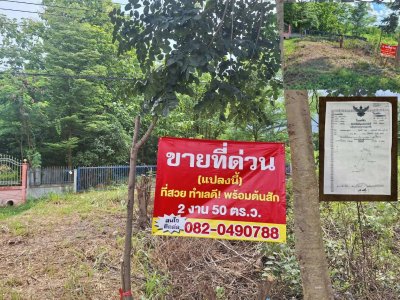 ขายถูกมาก!! ที่ดินเปล่า 250.7 ตร.ว. ติดถนน 4 เลน ทำเลทอง อ.หนองเรือ จ.ขอนแก่น ใกล้ตลาดเทศบาล โรงพยาบาลฯ - รูปที่ 3