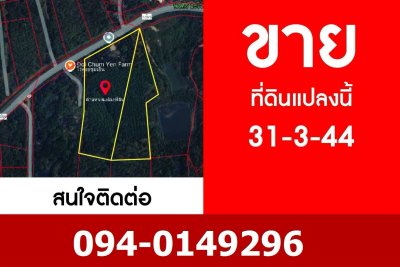 🏡ขายที่ดิน แม่แตงเชียงใหม่ ติดถนนหลัก แม่แตง-ปาย  พร้อมสวนยางพารา สวนลำใย พื้นที่ 31-3-44 ไร่ - รูปที่ 3