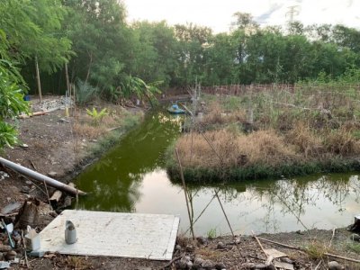 ขายที่ดิน 8 ไร่ หลักสาม บ้านแพ้ว สมุทรสาคร เหมาะสร้างบ้าน ทำสวนทำเกษตร - รูปที่ 4