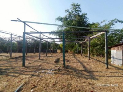 ขายบ้านเดี่ยว ชัยภูมิ  ถนน สายบ้านโนนจาน - บ้านเขว้า ตำบล ละหาน อำเภอ จัตุรัส จังหวัด ชัยภูมิ - รูปที่ 7