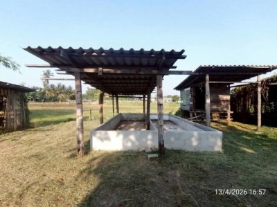 ขายบ้านเดี่ยว ชัยภูมิ  ถนน สายบ้านโนนจาน - บ้านเขว้า ตำบล ละหาน อำเภอ จัตุรัส จังหวัด ชัยภูมิ - รูปที่ 5