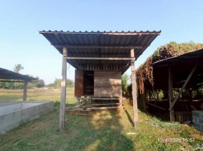 ขายบ้านเดี่ยว ชัยภูมิ  ถนน สายบ้านโนนจาน - บ้านเขว้า ตำบล ละหาน อำเภอ จัตุรัส จังหวัด ชัยภูมิ - รูปที่ 6