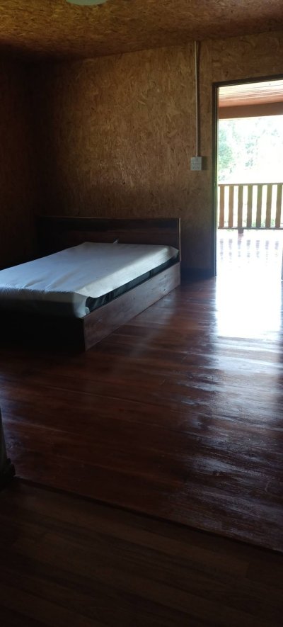 บ้านให้เช่า ใกล้ห้วยฮ่องไคร้ ดอยสะเก็ด เชียงใหม่ บรรยากาศสงบ ใกล้ธรรมชาติ ก่อนถึงน้ำพุร้อนดอยสะเก็ด - รูปที่ 3