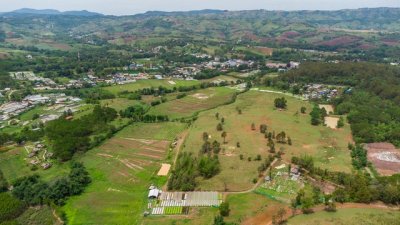 ขายที่ดินเขาค้อ นะโมแลนด์ Phase 3-3 เริ่ม 1055 ตร.ว. ทำเลทุ่งสมอ บรรยากาศภูเขาและพื้นที่สีเขียว ราคา 11250 บาท-ตร.ว. - รูปที่ 4