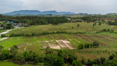 ขายที่ดินเขาค้อ นะโมแลนด์ Phase 3-3 เริ่ม 1055 ตร.ว. ทำเลทุ่งสมอ บรรยากาศภูเขาและพื้นที่สีเขียว ราคา 11250 บาท-ตร.ว. - รูปที่ 8