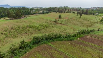 ขายที่ดินเขาค้อ นะโมแลนด์ Phase 3-3 เริ่ม 1055 ตร.ว. ทำเลทุ่งสมอ บรรยากาศภูเขาและพื้นที่สีเขียว ราคา 11250 บาท-ตร.ว. - รูปที่ 7