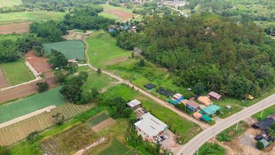 ขายที่ดินเขาค้อ นะโมแลนด์ Phase 3-1 เริ่ม 400 ตร.ว. ทำเลทุ่งสมอ บรรยากาศภูเขาและพื้นที่สีเขียว ราคา 11250 บาท-ตร.ว. - รูปที่ 5