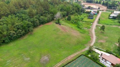 ขายที่ดินเขาค้อ นะโมแลนด์ Phase 3-1 เริ่ม 400 ตร.ว. ทำเลทุ่งสมอ บรรยากาศภูเขาและพื้นที่สีเขียว ราคา 11250 บาท-ตร.ว. - รูปที่ 6