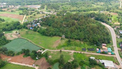 ขายที่ดินเขาค้อ นะโมแลนด์ Phase 3-1 เริ่ม 400 ตร.ว. ทำเลทุ่งสมอ บรรยากาศภูเขาและพื้นที่สีเขียว ราคา 11250 บาท-ตร.ว. - รูปที่ 4