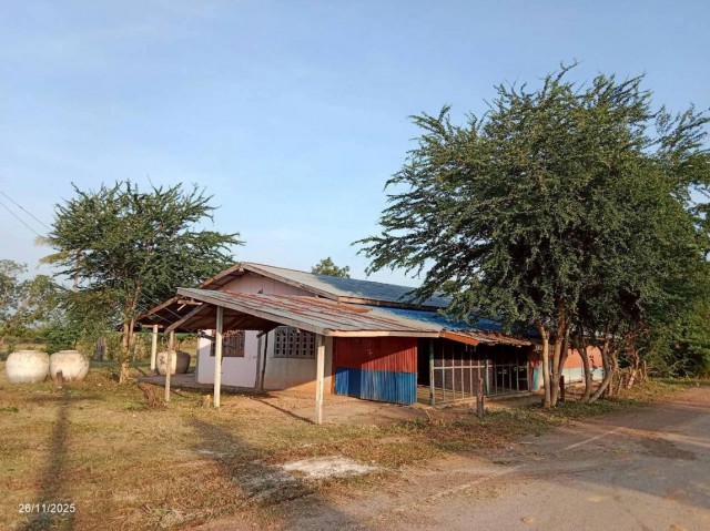 ขายบ้านเดี่ยว ชัยภูมิ ถนน สายบ้านสระแต้ - บ้านหนองผักหลอด ตำบล บ้านดอน อำเภอ ภูเขียว จังหวัด ชัยภูมิ