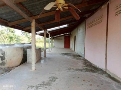 ขายบ้านเดี่ยว ชัยภูมิ ถนน สายบ้านสระแต้ - บ้านหนองผักหลอด ตำบล บ้านดอน อำเภอ ภูเขียว จังหวัด ชัยภูมิ - รูปที่ 3