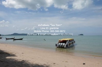 DSL-721.3 ขาย ที่ดิน ขายที่ดินสวนป่า บนเนินไหล่เขา วิวทะเล (Seaview) เกาะสิเหร่ ภูเก็ต 5-0-48.7 ไร่ (ห่างชายทะเล 100 ม.), ราคา 76,826,250 - รูปที่ 7