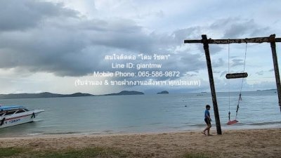 DSL-721.3 ขาย ที่ดิน ขายที่ดินสวนป่า บนเนินไหล่เขา วิวทะเล (Seaview) เกาะสิเหร่ ภูเก็ต 5-0-48.7 ไร่ (ห่างชายทะเล 100 ม.), ราคา 76,826,250 - รูปที่ 8
