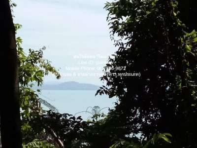 DSL-721.3 ขาย ที่ดิน ขายที่ดินสวนป่า บนเนินไหล่เขา วิวทะเล (Seaview) เกาะสิเหร่ ภูเก็ต 5-0-48.7 ไร่ (ห่างชายทะเล 100 ม.), ราคา 76,826,250 - รูปที่ 3