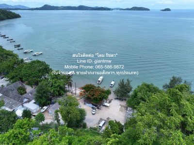 DSL-721.3 ขาย ที่ดิน ขายที่ดินสวนป่า บนเนินไหล่เขา วิวทะเล (Seaview) เกาะสิเหร่ ภูเก็ต 5-0-48.7 ไร่ (ห่างชายทะเล 100 ม.), ราคา 76,826,250 - รูปที่ 2