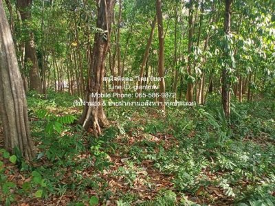 DSL-721.3 ขาย ที่ดิน ขายที่ดินสวนป่า บนเนินไหล่เขา วิวทะเล (Seaview) เกาะสิเหร่ ภูเก็ต 5-0-48.7 ไร่ (ห่างชายทะเล 100 ม.), ราคา 76,826,250 - รูปที่ 6