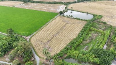 ราคาพิเศษ ขายด่วนมาก ที่ดิน 9-3-99.5 ไร่ ดอนโพธิ์ - สุพรรณบุรี ทำเลดี - รูปที่ 3