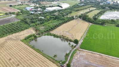 ราคาพิเศษ ขายด่วนมาก ที่ดิน 9-3-99.5 ไร่ ดอนโพธิ์ - สุพรรณบุรี ทำเลดี - รูปที่ 6