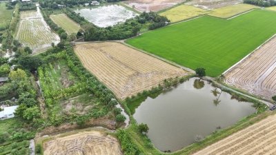 ราคาพิเศษ ขายด่วนมาก ที่ดิน 9-3-99.5 ไร่ ดอนโพธิ์ - สุพรรณบุรี ทำเลดี - รูปที่ 2