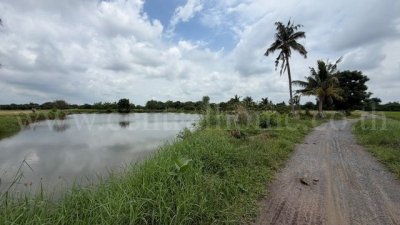 ราคาพิเศษ ขายด่วนมาก ที่ดิน 9-3-99.5 ไร่ ดอนโพธิ์ - สุพรรณบุรี ทำเลดี - รูปที่ 8