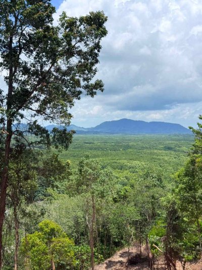 ขายที่ดินเปล่า ทำเลดี ใกล้สะพานสิริลันตา จังหวัดกระบี่ - รูปที่ 6