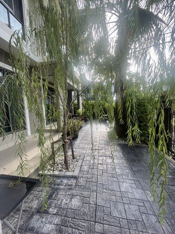 ขายบ้านหรู 2 ชั้น 80 ตรว. 4 ห้องนอน โครงการ เดอะ ปาล์ม พัฒนาการ 38 The Palm Pattanakarn ดีไซน์ Modern Premium ใกล้ทางด่วน ใกล้เอกมัย ทองหล่อ - รูปที่ 4