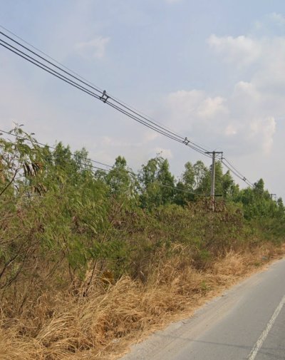‭ให้เช่าที่ดินสวยติดถนนใหญ่ 3138 อ.บ้านบึง จ.ชลบุรี เนื้อที่ 11 ไร่ 1 งาน 5 ตรว - รูปที่ 2