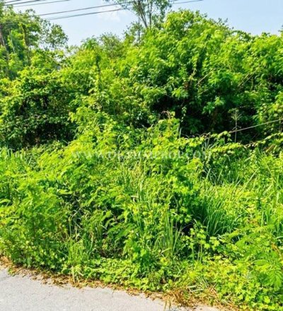 ที่ดินหัวหิน ติดถนนสาย 2052 ใกล้วัดห้วยมงคล ต.หนองพลับ อ.หัวหิน จ.ประจวบคีรีขันธ์ - รูปที่ 3