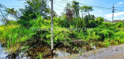 ที่ดินหัวหิน ติดถนนสาย 2052 ใกล้วัดห้วยมงคล ต.หนองพลับ อ.หัวหิน จ.ประจวบคีรีขันธ์ - รูปที่ 4
