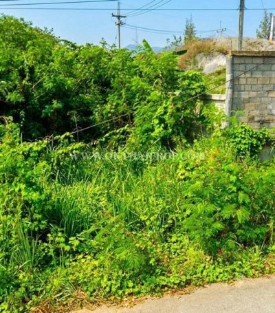 ที่ดินหัวหิน ติดถนนสาย 2052 ใกล้วัดห้วยมงคล ต.หนองพลับ อ.หัวหิน จ.ประจวบคีรีขันธ์ - รูปที่ 5