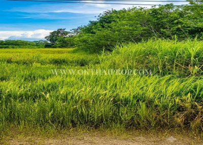 ที่ดินหัวหิน ติดถนนสาย 2052 ใกล้วัดห้วยมงคล ต.หนองพลับ อ.หัวหิน จ.ประจวบคีรีขันธ์ - รูปที่ 6