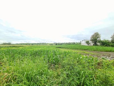 ที่ดิน ใกล้โรงเรียนซับบอนวิทยาคม ทางหลวงหมายเลข 225 ต.กันจุ อ.บึงสามพัน จ.เพชรบูรณ์ - รูปที่ 8