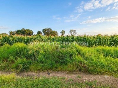 ที่ดิน ใกล้โรงเรียนซับบอนวิทยาคม ต.กันจุ อ.บึงสามพัน จ.เพชรบูรณ์ - รูปที่ 2