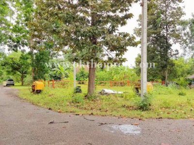 ที่ดินจัดสรรถมแล้ว พุหวายฮิลล์รีสอร์ท อ.ชะอำ จ.เพชรบุรี - รูปที่ 5