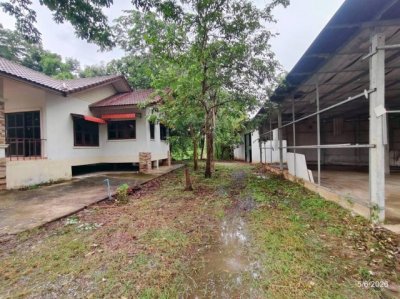 ขายบ้านเดี่ยว ชัยภูมิ ถนน สายบ้านช่อระกา-บ้านหนองแวง ตำบล นาฝาย อำเภอ เมืองชัยภูมิ จังหวัด ชัยภูมิ - รูปที่ 2