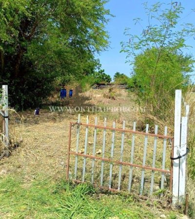 ที่ดินพานทองใกล้ดูโฮม ถ.ศุขประยูร ต.หนองตำลึง อ.พานทอง จ.ชลบุรี - รูปที่ 4