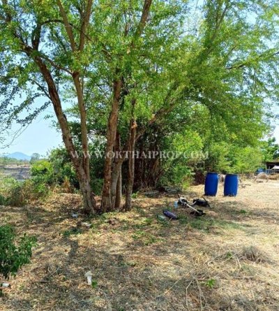 ที่ดินพานทองใกล้ดูโฮม ถ.ศุขประยูร ต.หนองตำลึง อ.พานทอง จ.ชลบุรี - รูปที่ 6