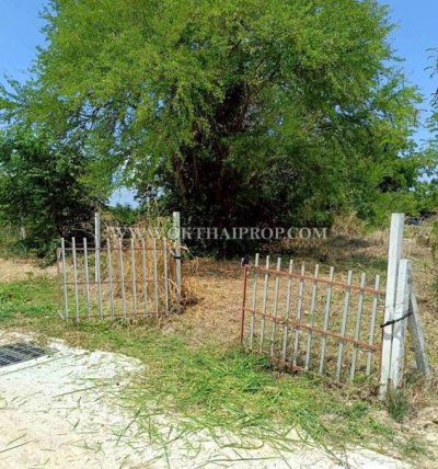 ที่ดินพานทองใกล้ดูโฮม ถ.ศุขประยูร ต.หนองตำลึง อ.พานทอง จ.ชลบุรี - รูปที่ 5