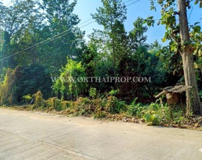 ที่ดินสวย 2 แปลง ใกล้โรงพยาบาลบึงสามัคคี อ.บึงสามัคคี จ.กำแพงเพชร - รูปที่ 5
