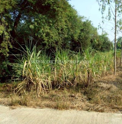ที่ดินสวย 2 แปลง ใกล้โรงพยาบาลบึงสามัคคี อ.บึงสามัคคี จ.กำแพงเพชร - รูปที่ 3