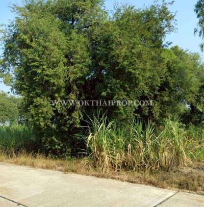 ที่ดินสวย 2 แปลง ใกล้โรงพยาบาลบึงสามัคคี อ.บึงสามัคคี จ.กำแพงเพชร - รูปที่ 2