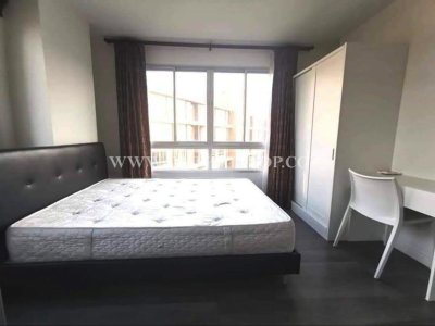ดีคอนโด แคมปัส รีสอร์ท รังสิต DCONDO CAMPUS RESORT RANGSIT - รูปที่ 3