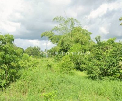 ที่ดินติดถนน ใกล้ชลประทานช่องแค อ.ตาคลี จ.นครสวรรค์ - รูปที่ 2